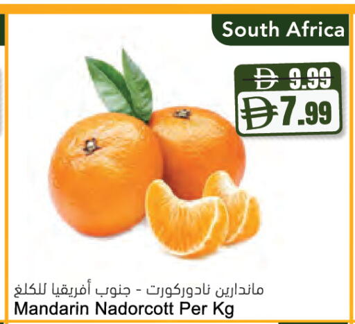 Mandarin from South Africa available at المايا سوبرماركت in الإمارات العربية المتحدة , الامارات - دبي