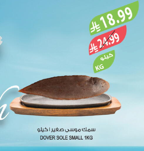 available at المزرعة in مملكة العربية السعودية, السعودية, سعودية - الخرج