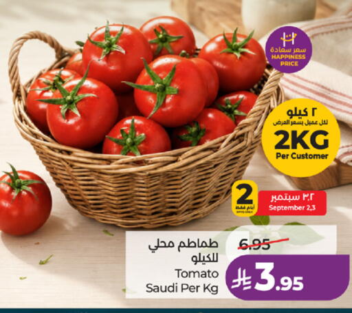 Tomato from Saudi Arabia available at لولو هايبرماركت in مملكة العربية السعودية, السعودية, سعودية - جدة