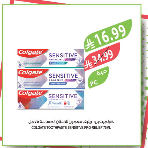 available at المزرعة in مملكة العربية السعودية, السعودية, سعودية - تبوك