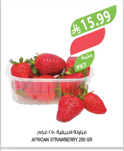 Strawberry available at Farm  in KSA, Saudi Arabia, Saudi - Al-Kharj
