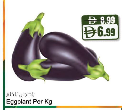 Eggplant available at المايا سوبرماركت in الإمارات العربية المتحدة , الامارات - دبي