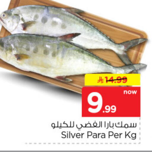available at نستو in مملكة العربية السعودية, السعودية, سعودية - الخرج