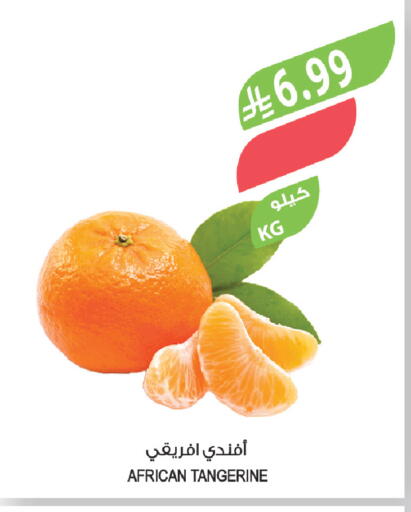 available at Farm  in KSA, Saudi Arabia, Saudi - Al-Kharj