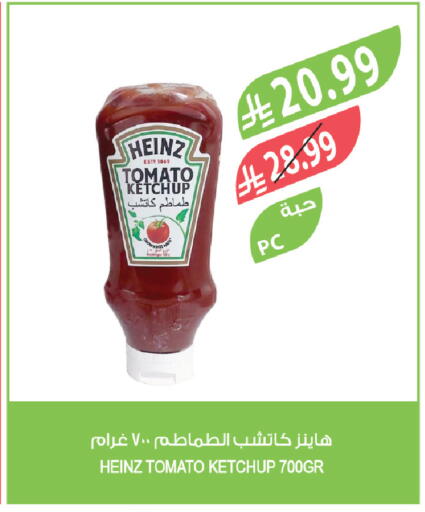 Tomato available at Farm  in KSA, Saudi Arabia, Saudi - Al-Kharj
