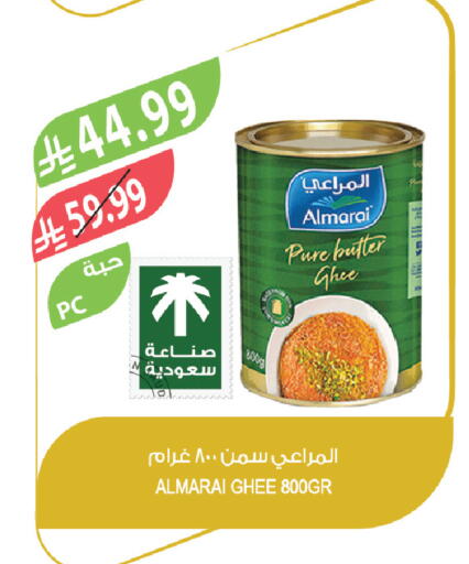 available at المزرعة in مملكة العربية السعودية, السعودية, سعودية - تبوك