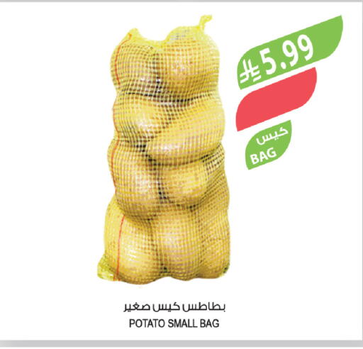 Potato available at المزرعة in مملكة العربية السعودية, السعودية, سعودية - تبوك