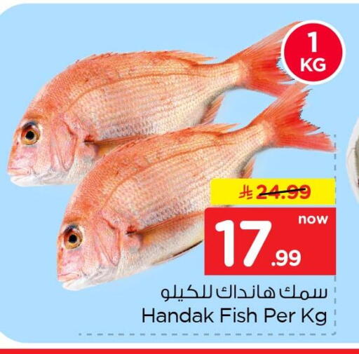 available at نستو in مملكة العربية السعودية, السعودية, سعودية - الخبر‎