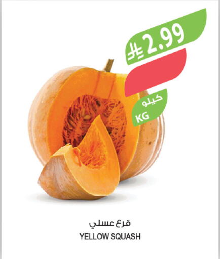 Squash available at Farm  in KSA, Saudi Arabia, Saudi - Riyadh