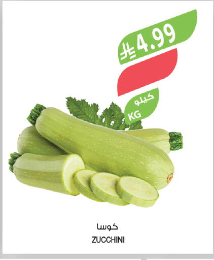 Zucchini available at المزرعة in مملكة العربية السعودية, السعودية, سعودية - تبوك