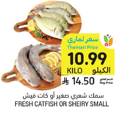 available at أسواق التميمي in مملكة العربية السعودية, السعودية, سعودية - الخبر‎