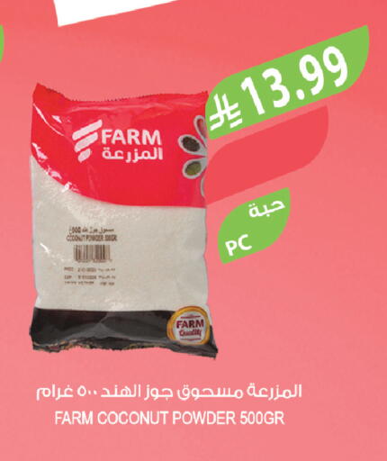 Coconut available at Farm  in KSA, Saudi Arabia, Saudi - Tabuk