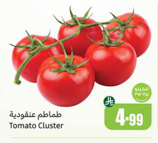 Tomato available at أسواق عبد الله العثيم in مملكة العربية السعودية, السعودية, سعودية - الخبر‎