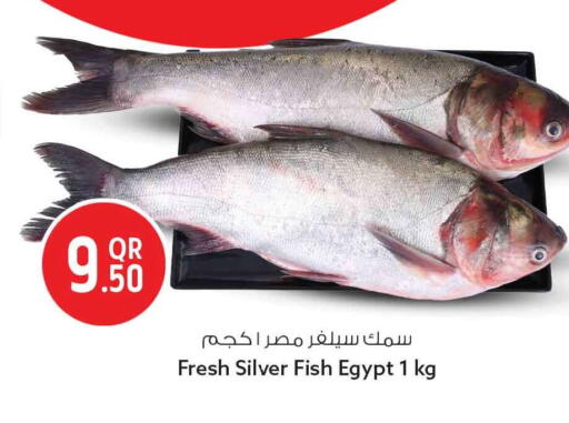 available at Safari Hypermarket in Qatar - Doha