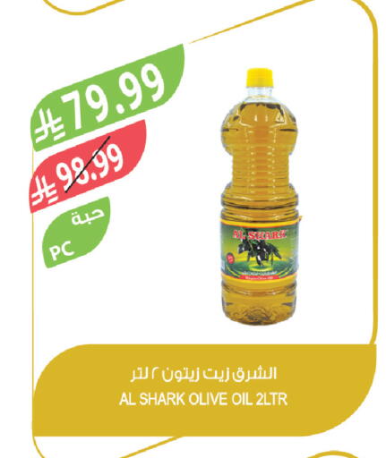 available at المزرعة in مملكة العربية السعودية, السعودية, سعودية - تبوك