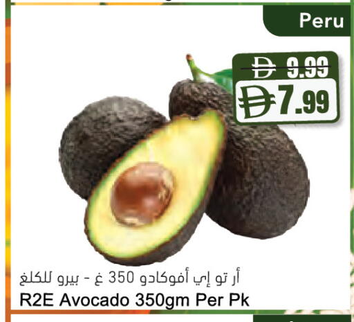 Avocado available at المايا سوبرماركت in الإمارات العربية المتحدة , الامارات - دبي