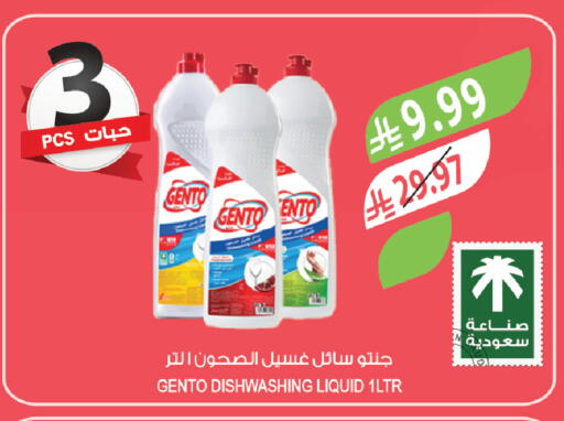 available at المزرعة in مملكة العربية السعودية, السعودية, سعودية - تبوك