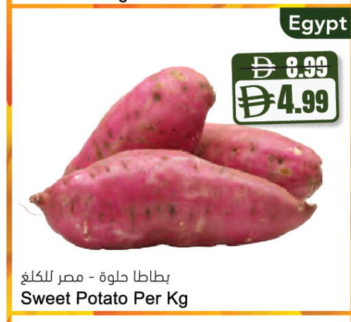 Sweet Potato from Egypt available at المايا سوبرماركت in الإمارات العربية المتحدة , الامارات - دبي