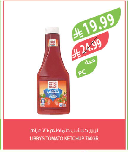 Tomato available at Farm  in KSA, Saudi Arabia, Saudi - Al-Kharj