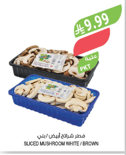 Mushroom available at Farm  in KSA, Saudi Arabia, Saudi - Riyadh