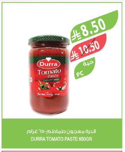 Tomato available at Farm  in KSA, Saudi Arabia, Saudi - Tabuk