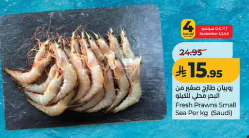 available at لولو هايبرماركت in مملكة العربية السعودية, السعودية, سعودية - تبوك