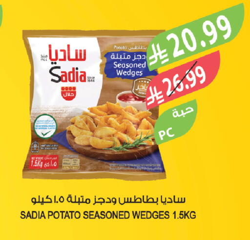Potato available at Farm  in KSA, Saudi Arabia, Saudi - Tabuk