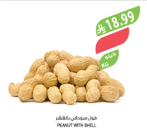 available at المزرعة in مملكة العربية السعودية, السعودية, سعودية - تبوك
