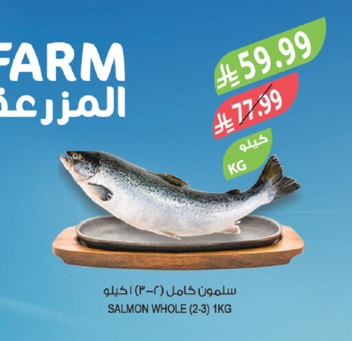 available at المزرعة in مملكة العربية السعودية, السعودية, سعودية - الخرج