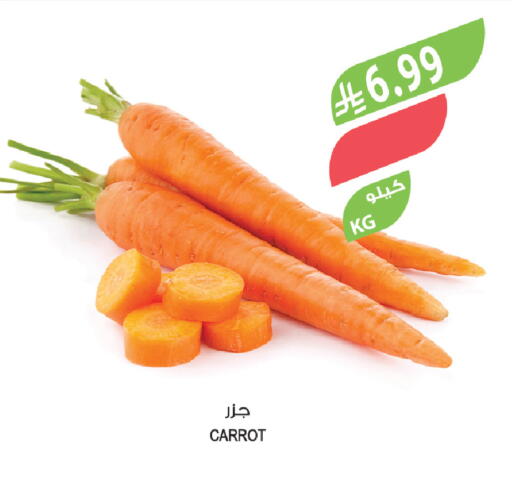 Carrot available at المزرعة in مملكة العربية السعودية, السعودية, سعودية - تبوك