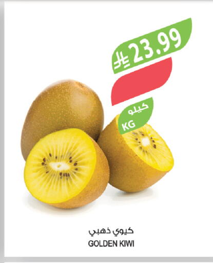 Kiwi available at المزرعة in مملكة العربية السعودية, السعودية, سعودية - تبوك