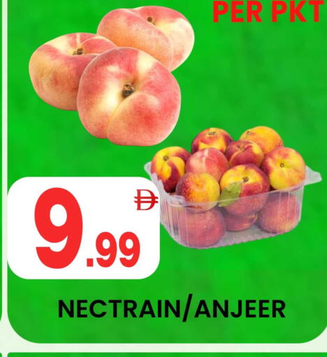 available at Centro Discount Center in UAE - Dubai