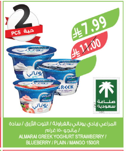 Blueberry BlueBerry Strawberry Mango available at Farm  in KSA, Saudi Arabia, Saudi - Tabuk