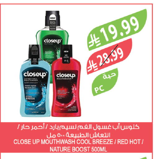 available at المزرعة in مملكة العربية السعودية, السعودية, سعودية - تبوك