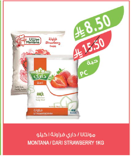 Strawberry available at Farm  in KSA, Saudi Arabia, Saudi - Tabuk