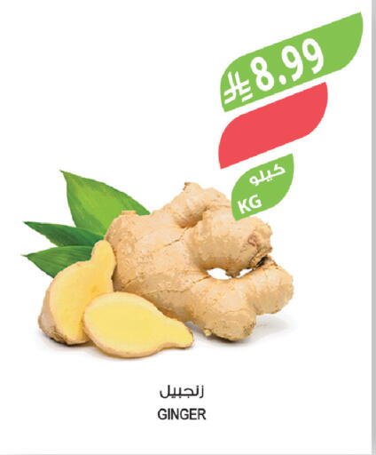 Ginger available at Farm  in KSA, Saudi Arabia, Saudi - Riyadh