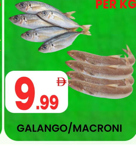 available at Centro Discount Center in UAE - Dubai