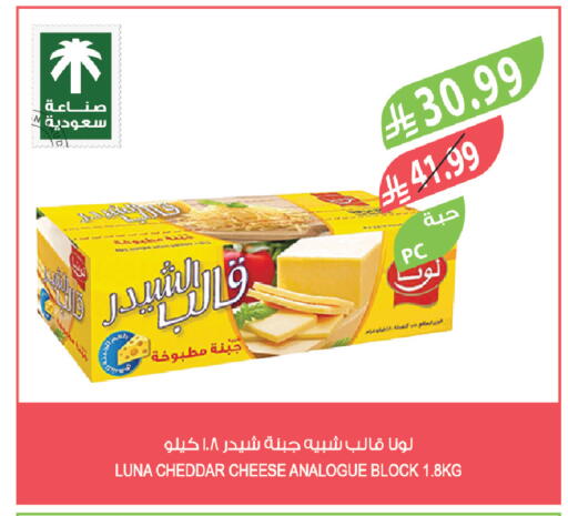 available at المزرعة in مملكة العربية السعودية, السعودية, سعودية - تبوك