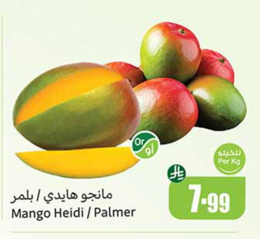 Mango available at أسواق عبد الله العثيم in مملكة العربية السعودية, السعودية, سعودية - الخرج