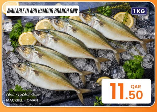 available at البلدي اليوم in قطر - الريان