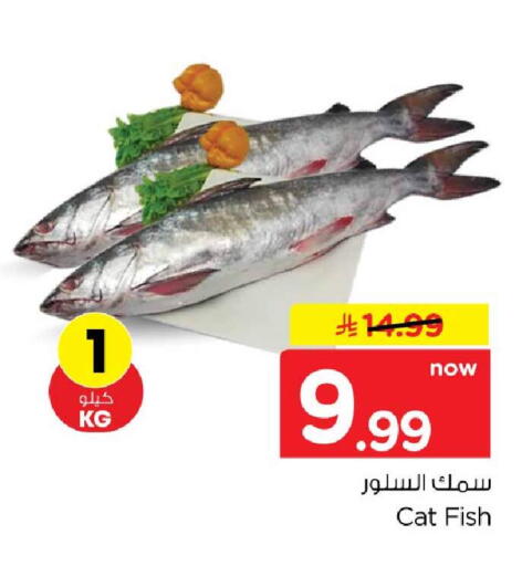 available at Hyper Al Wafa in KSA, Saudi Arabia, Saudi - Jeddah