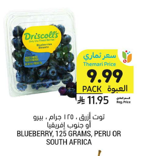 Blueberry BlueBerry from Mexico South Africa available at أسواق التميمي in مملكة العربية السعودية, السعودية, سعودية - الخبر‎