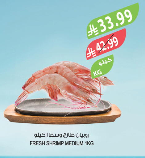 available at المزرعة in مملكة العربية السعودية, السعودية, سعودية - تبوك