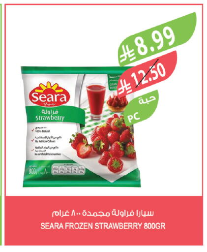 Strawberry available at Farm  in KSA, Saudi Arabia, Saudi - Tabuk