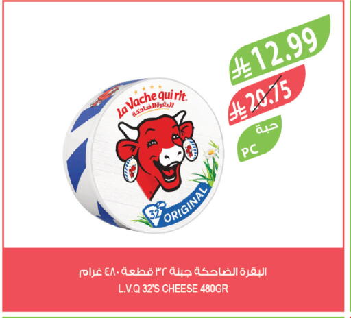 available at المزرعة in مملكة العربية السعودية, السعودية, سعودية - تبوك