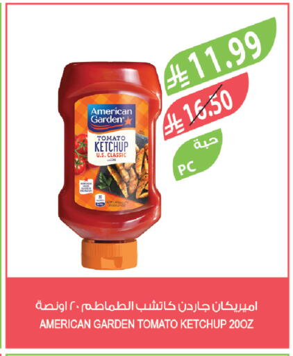 Tomato available at Farm  in KSA, Saudi Arabia, Saudi - Al-Kharj