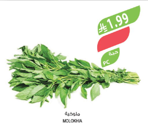 available at Farm  in KSA, Saudi Arabia, Saudi - Tabuk