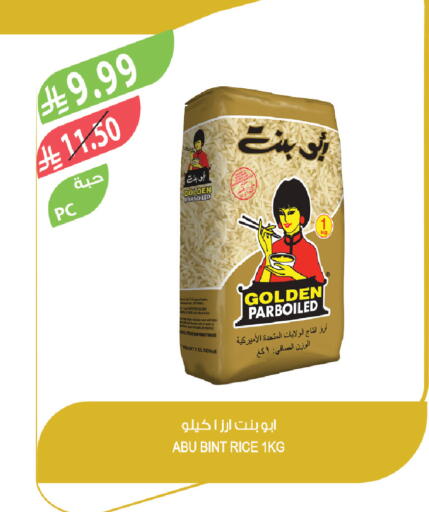 available at المزرعة in مملكة العربية السعودية, السعودية, سعودية - تبوك