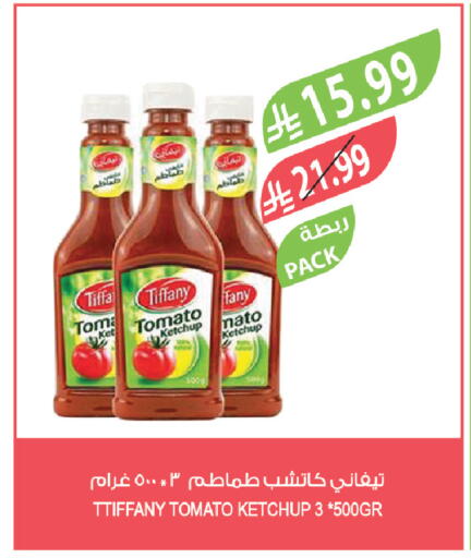 Tomato available at Farm  in KSA, Saudi Arabia, Saudi - Al-Kharj