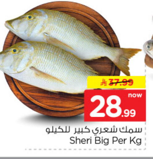 available at نستو in مملكة العربية السعودية, السعودية, سعودية - الخرج
